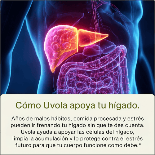 Uvola Fórmula Botánica con Cardo Mariano